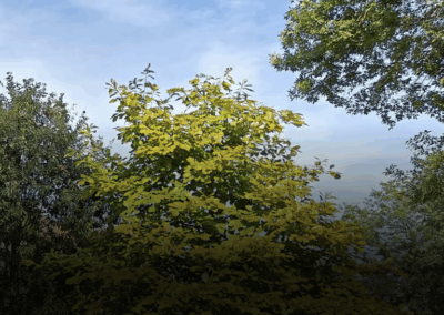 Student cheating dominates talk of generative AI in higher ed, but universities and tech companies face ethical issues too